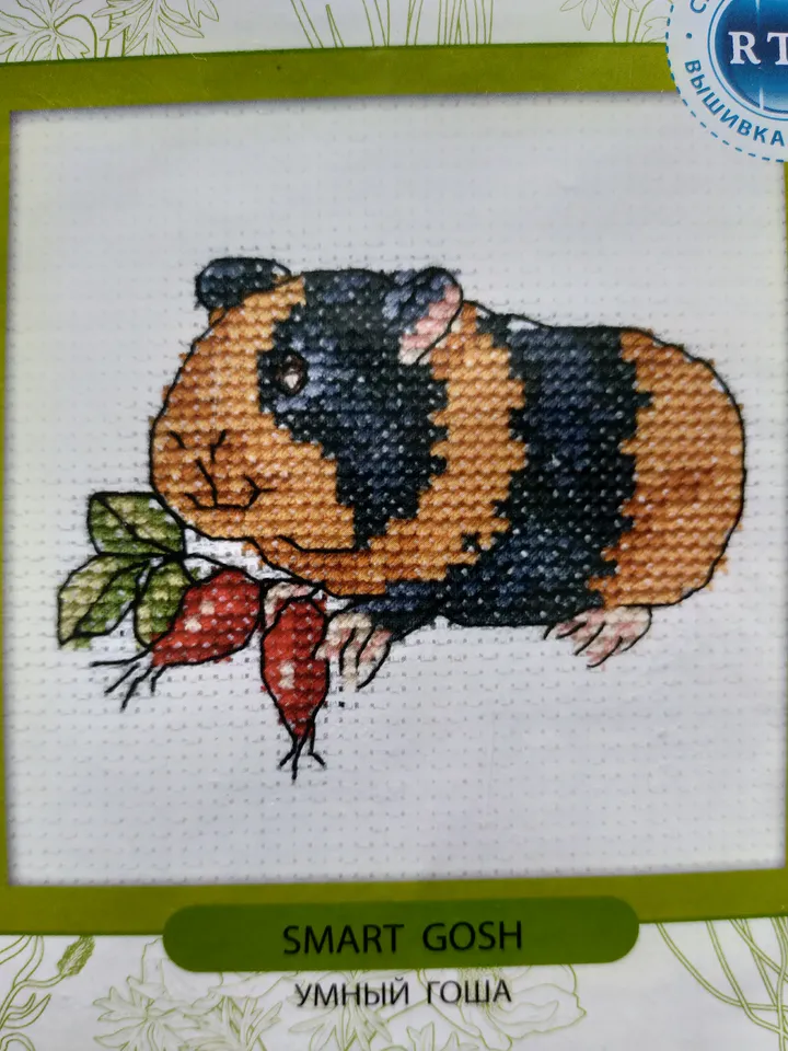 Set of 3 cross stitch kits guinea pig