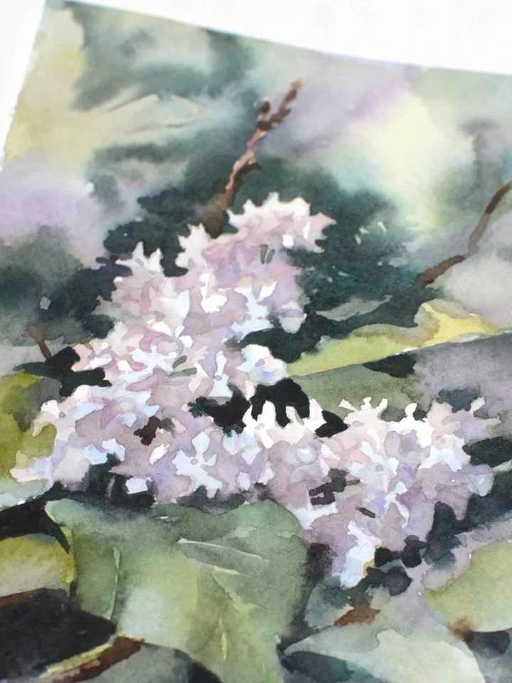 White flowering branch of Lilac Painting Original watercolor art by Yulia Evsyukova