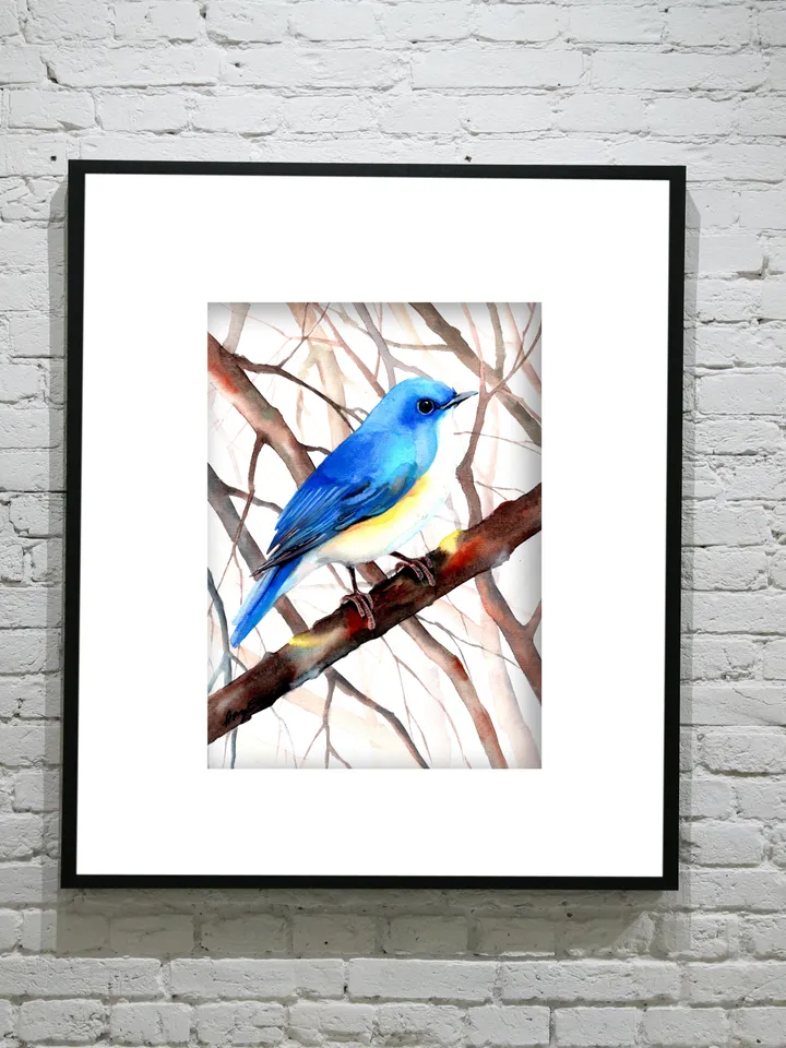 Mountain Bluebird Bird Watercolour, bird painting, wall decor, birds lover gift, 8x11 in handmade art by Anne Gorywine