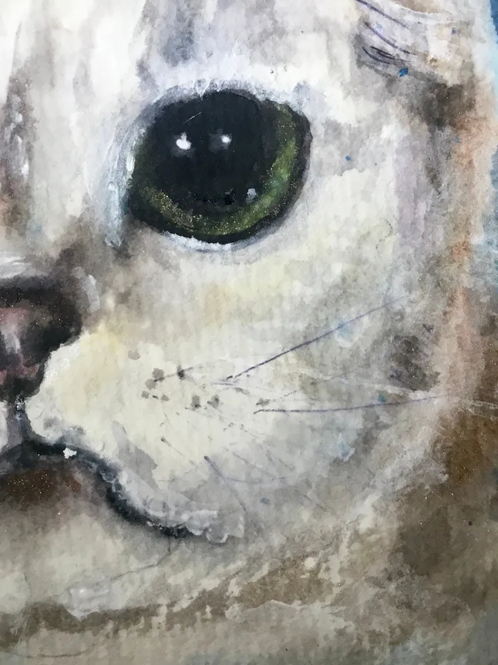 Scottish fold cat original watercolour painting,animals painting,gift for cat lovers,unique gift,white cat painting.