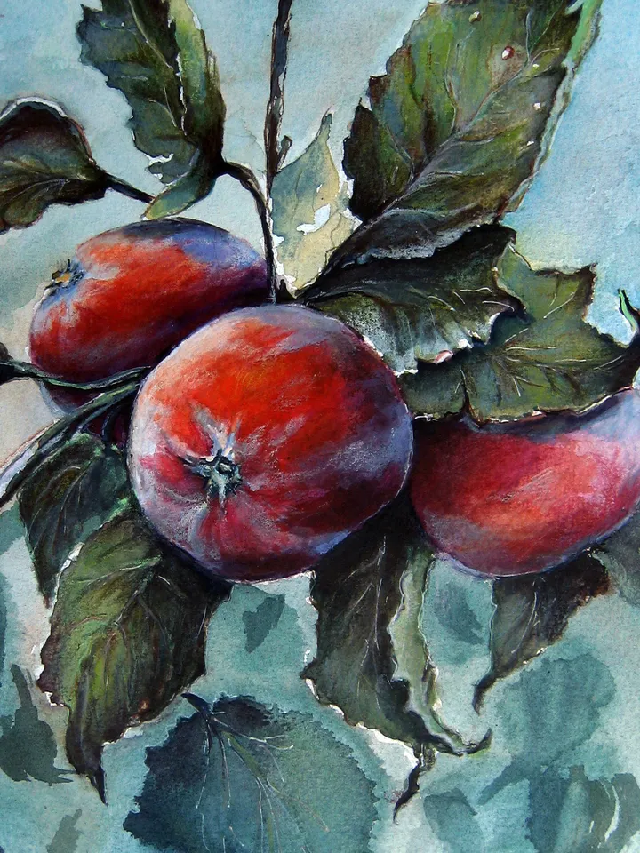 Branch of apples. Watercolor painting fruit apples 21x30 cm (8.3 х 11,7 inches)