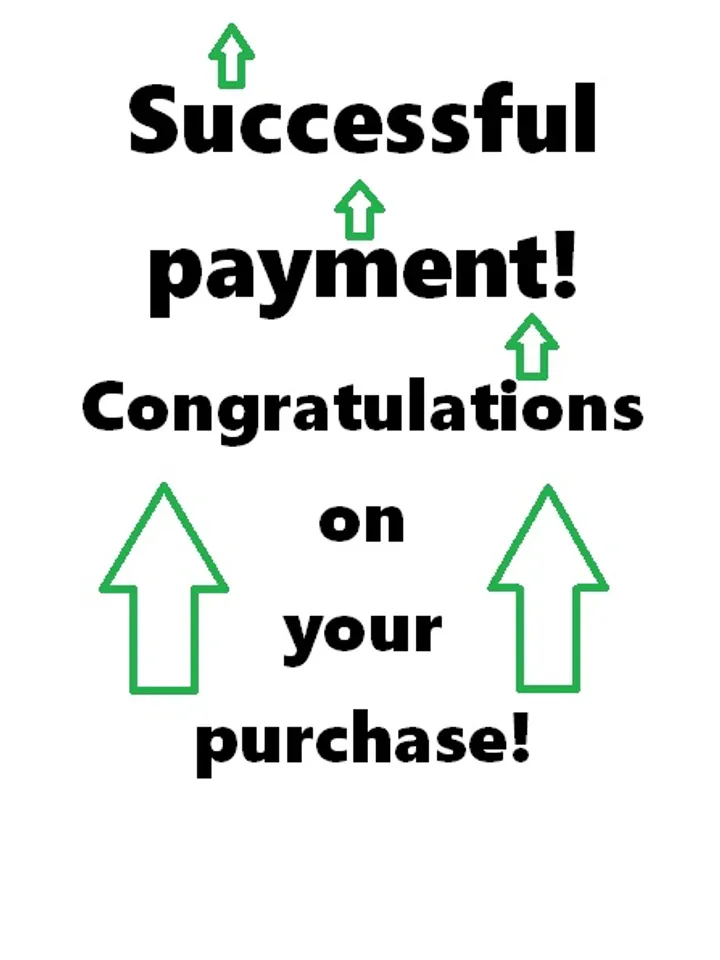 Successful
payment!
Congratulations
on
your
purchase!