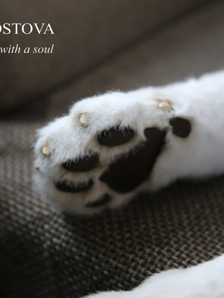 White lion