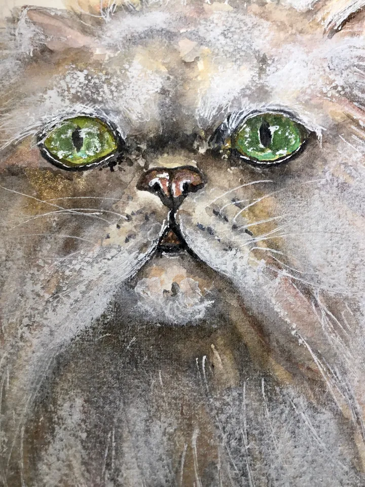 White persian cat original watercolor painting,cat lovers gift,animals watercolor painting.fluffy cat wall art,white cat art,special gift.