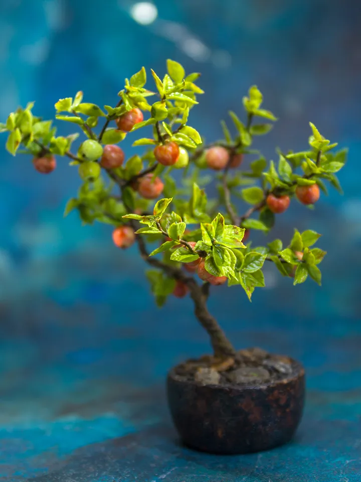 TUTORIAL Miniature apple tree with polymer and air dry clay