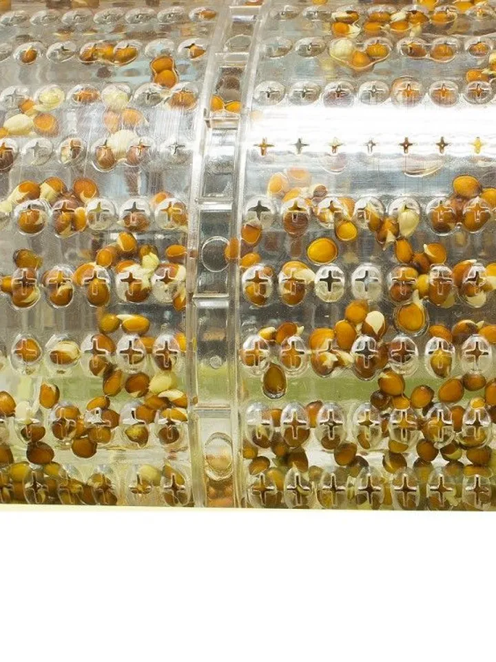 Automatic seed germinator Vitaseed Rota Garden Suba Seeds Vitaseed germinator
