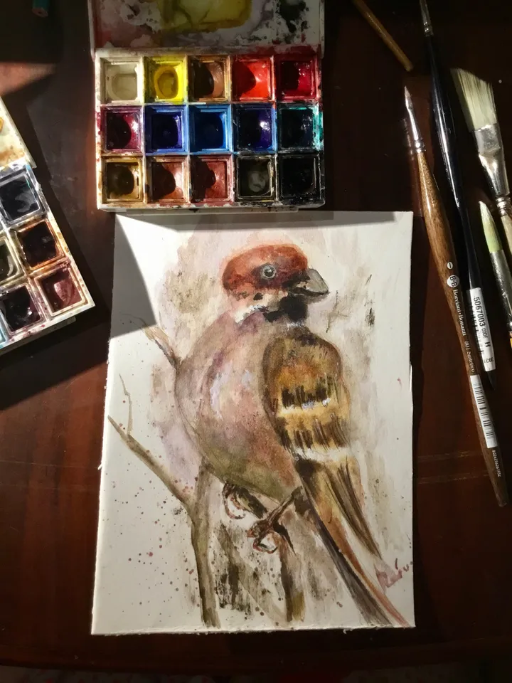 Bulfinch bird original watercolour painting,unique handmade gift,home decoration,birds painting,small paintings wall decoration.