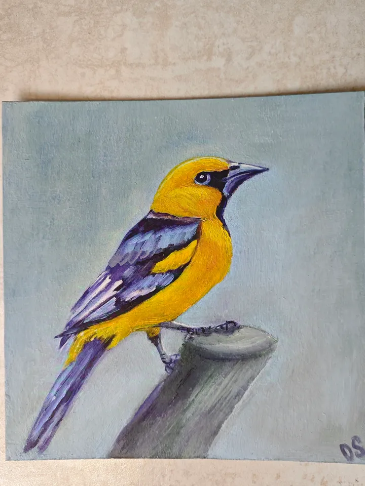 Oriole Bird Original Painting Bird Original Art Animal Modern Artwork Yellow Bird Wall Art Bright Yellow Bird Painting 8x8 inches by OlgaSokolovaArt