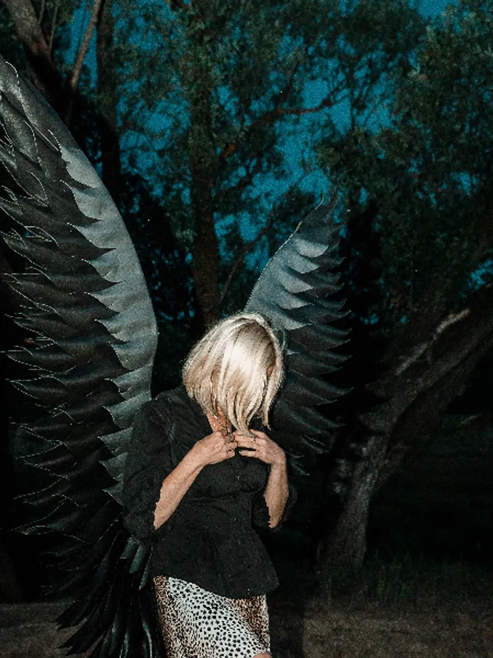 Black angel wings costume, cosplay wings, wings adult, fallen angel wings, devil angel, Halloween wings, wings photo pro