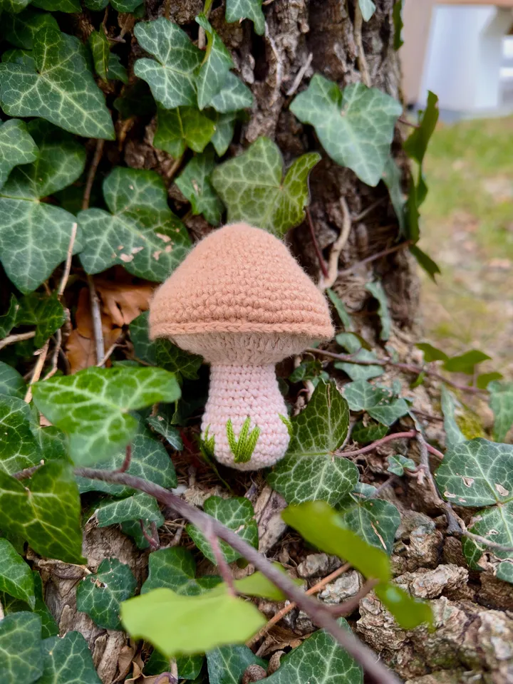 CROCHET Mushroom 3 Set: Amanita, Toadstool & Oak Leaves Perfect for Beginners Instant Digital Download PDF