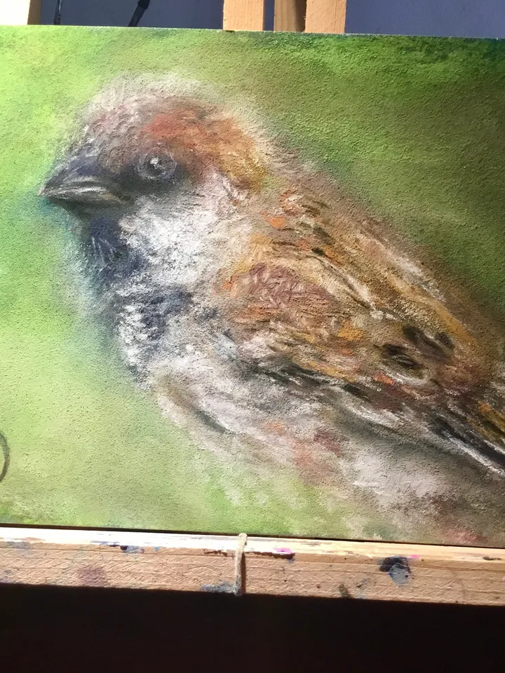 Sparrow bird original soft pastel painting on cardboard,nature,birds paintings,small painting gift,home decoration.
