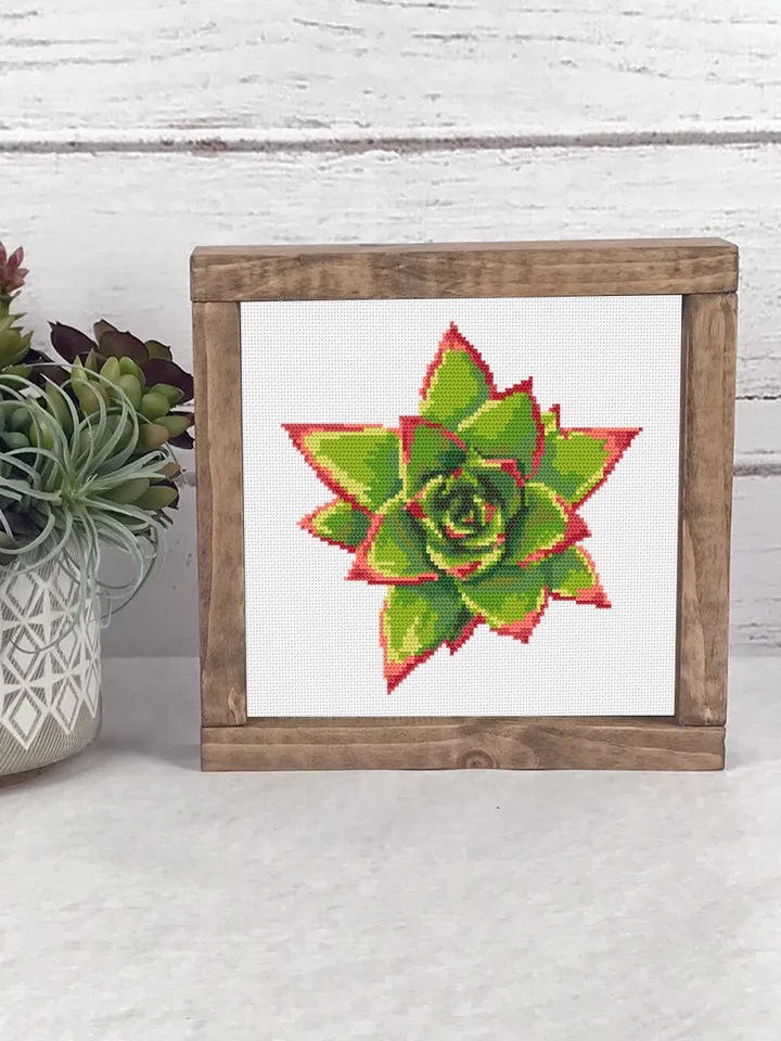 Succulent plant cross stitch pattern download PDF, Awesome floral cross stitch chart, Flower cross stitch, Plant pattern digital PDF #P27