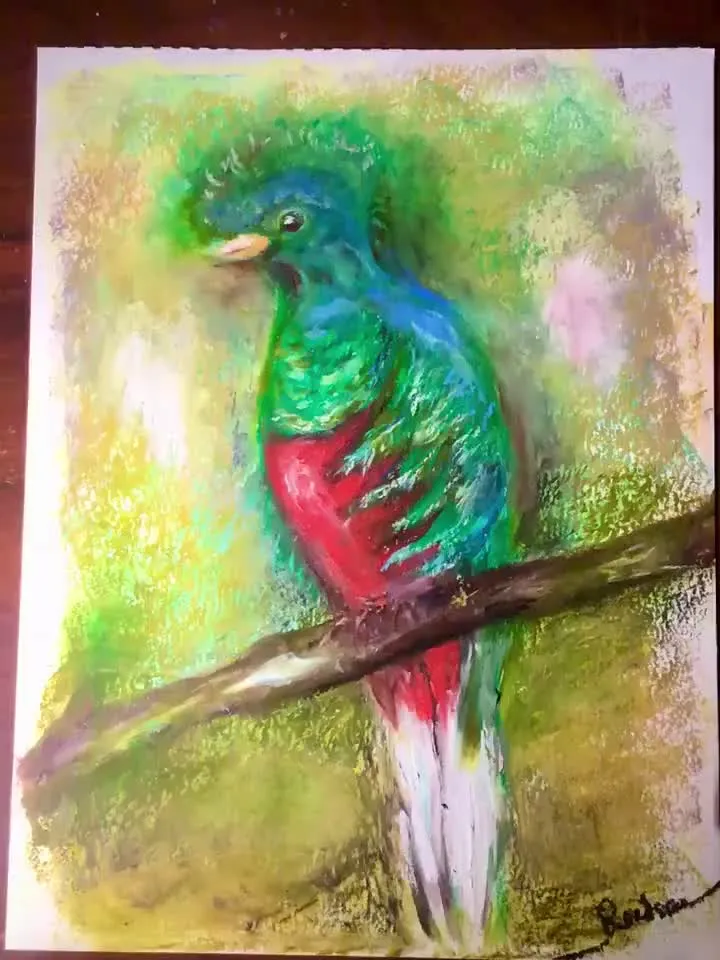 Quetzal bird,original oil pastel painting,exotic birds painting,colourful oil pastel painting,affordable art,wall decoration gift.