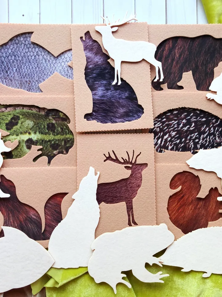 full set of tactile cards about animals