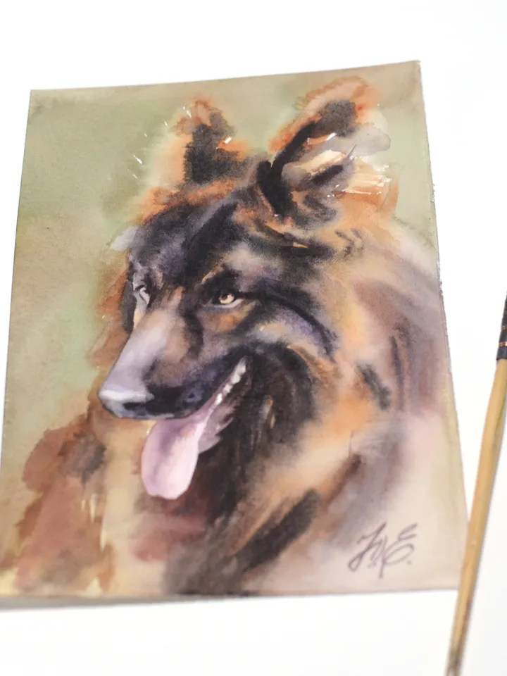 Shepherd painting Original watercolor dog artwork by Yulia Evsyukova