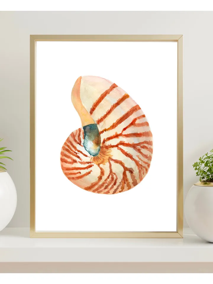 Shells, Shell art,Sea Shell Art, Shell Decor, Beach Cottage Art, Sea Shells Painting, Marine, Coastal Decor, Beach House art, Beach Artt,