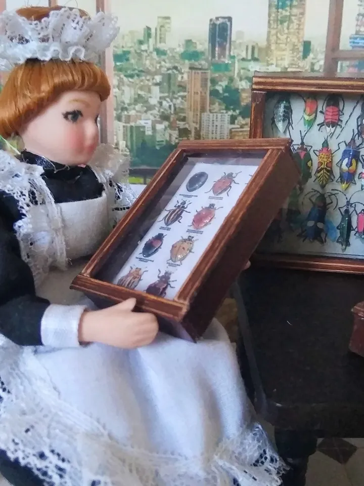 Collection of butterflies under glass for dollhouses.1:12 scale.