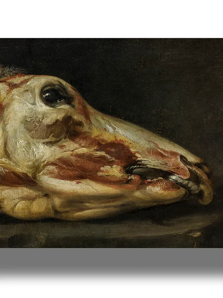 Skinned head of a young bull. Unusual dark style aesthetic.