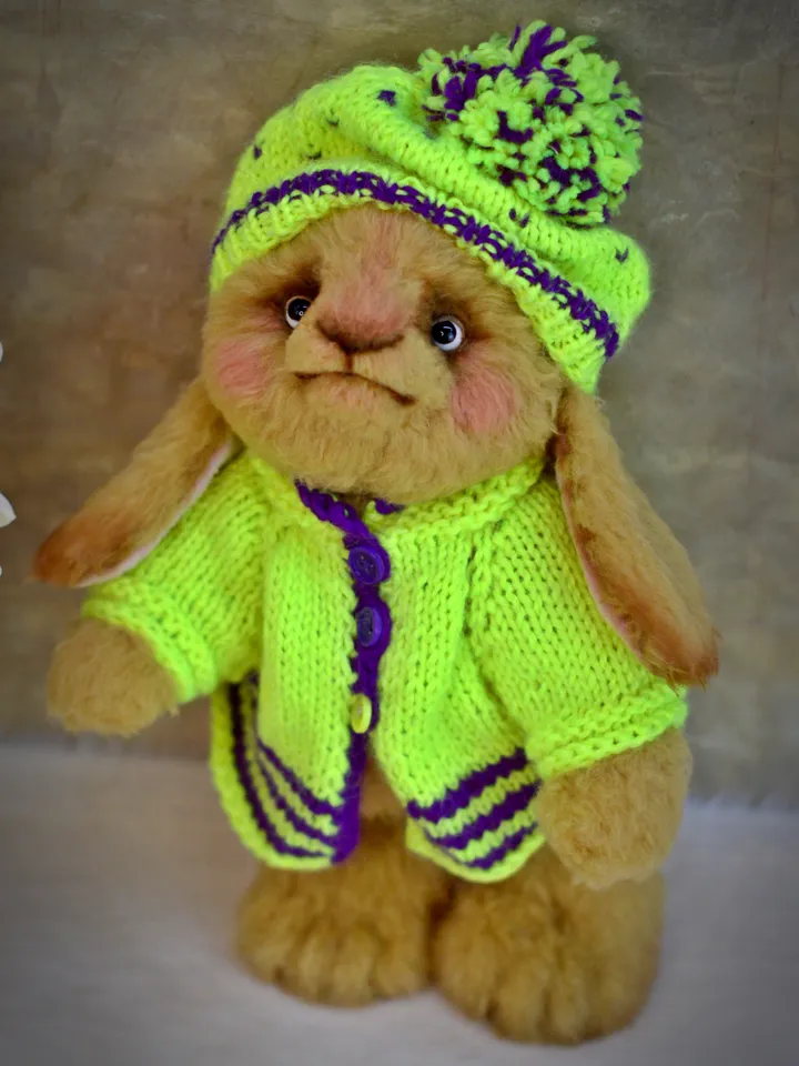 Teddy bunny, a soft toy
