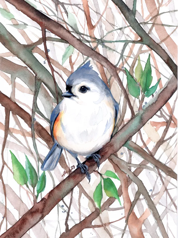 Titmouse Original watercolor, bird painting, wall decor, birds lover gift, 8x11 in handmade art by Anne Gorywine