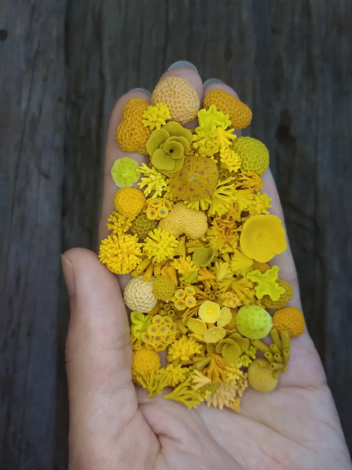 Set of miniature corals shades of yellow, tiny corals for diorama, dollhouse or resin art