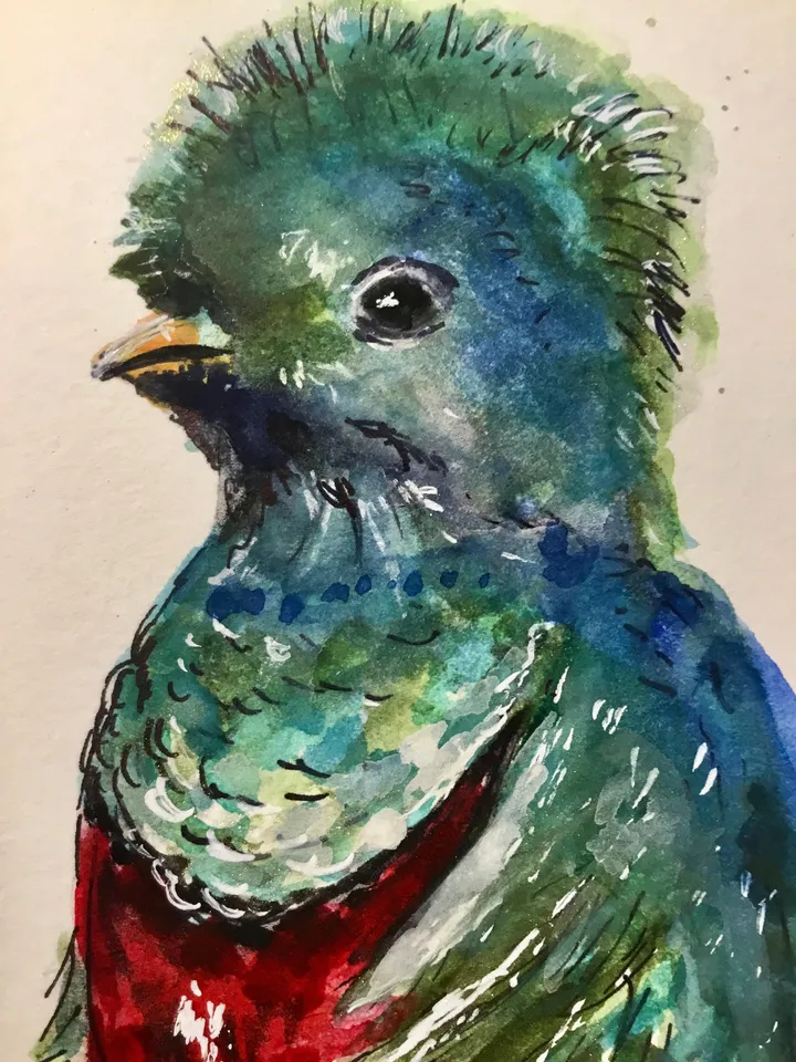 Quetzal bird original watercolour painting,exotic birds painting,watercolor birds wall art,small painting gift,original birds painting.