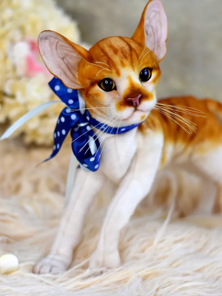 Realistic Stuffed Cat Toy - Portrait of a Domestic Plush Toy - Stuffed Cat - OOAK - Kitty Aurora