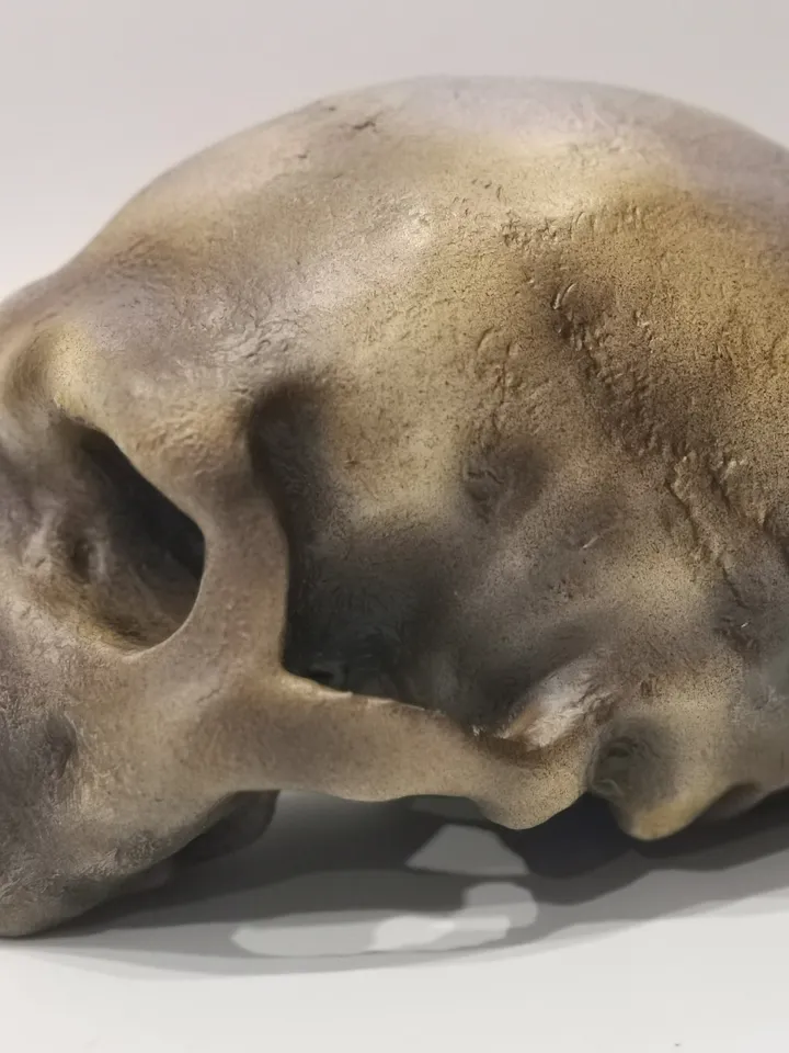 Homo Neanderthal from Monte Circeo 1 Skull Replica, Prehistoric Fossil Collection, Realistic Hominid Skull, Museum Quality