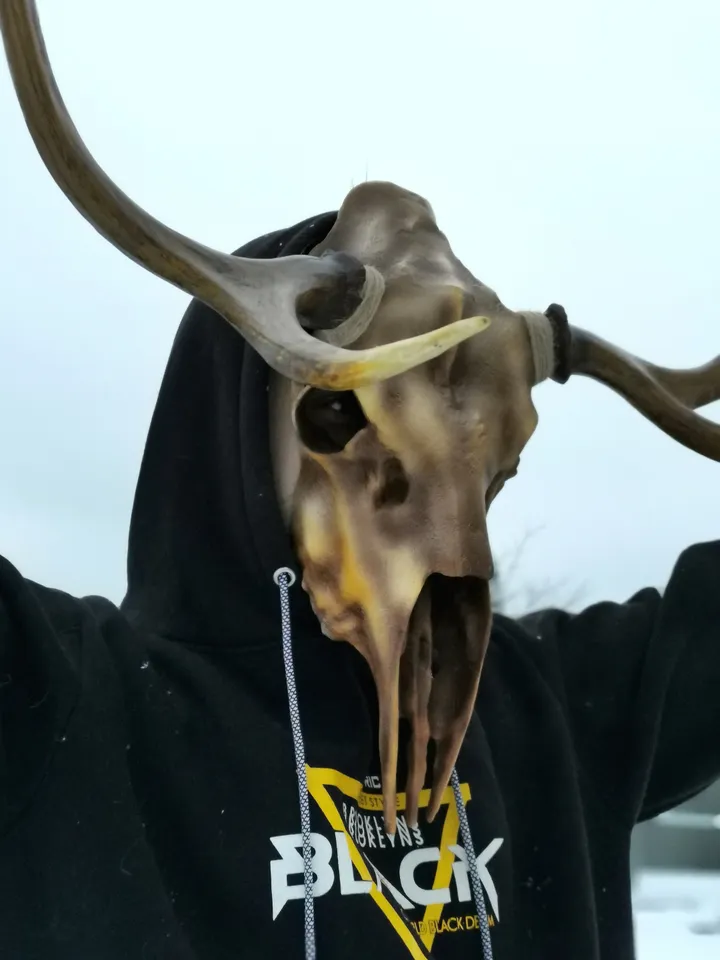 Deer Skull Mask, Antler Mask, Realistic Skull Mask, tribal headpiece, Headpiece skull, ritual mask, pagan headdress, skull costume mask