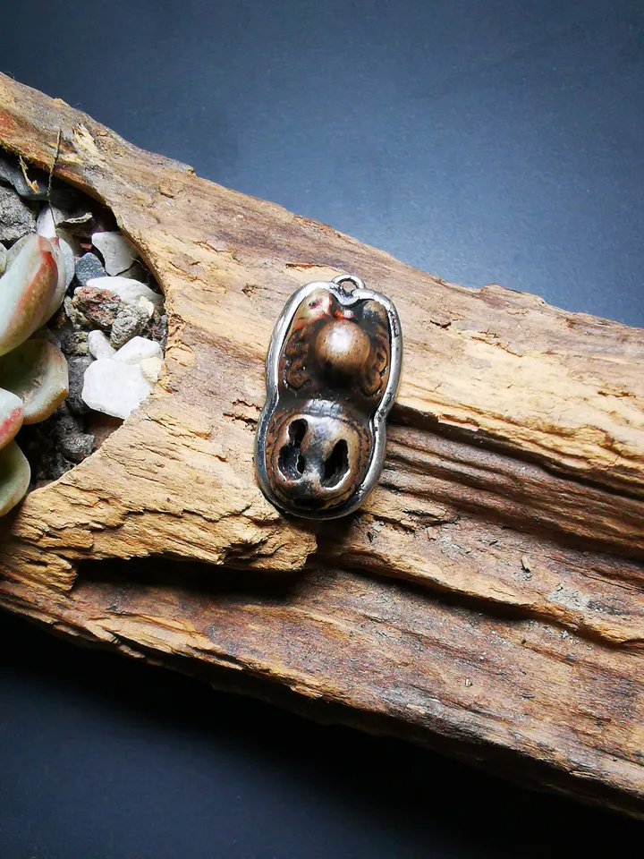 Gandhanra Tibetan Buddhist Amulet,Origional Snow Lion Pendant,Buddhist Talisman,Inlaid with Sliver