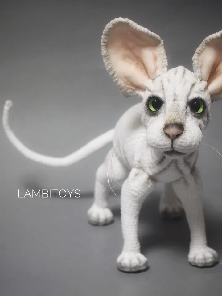 Interior cat sphinx