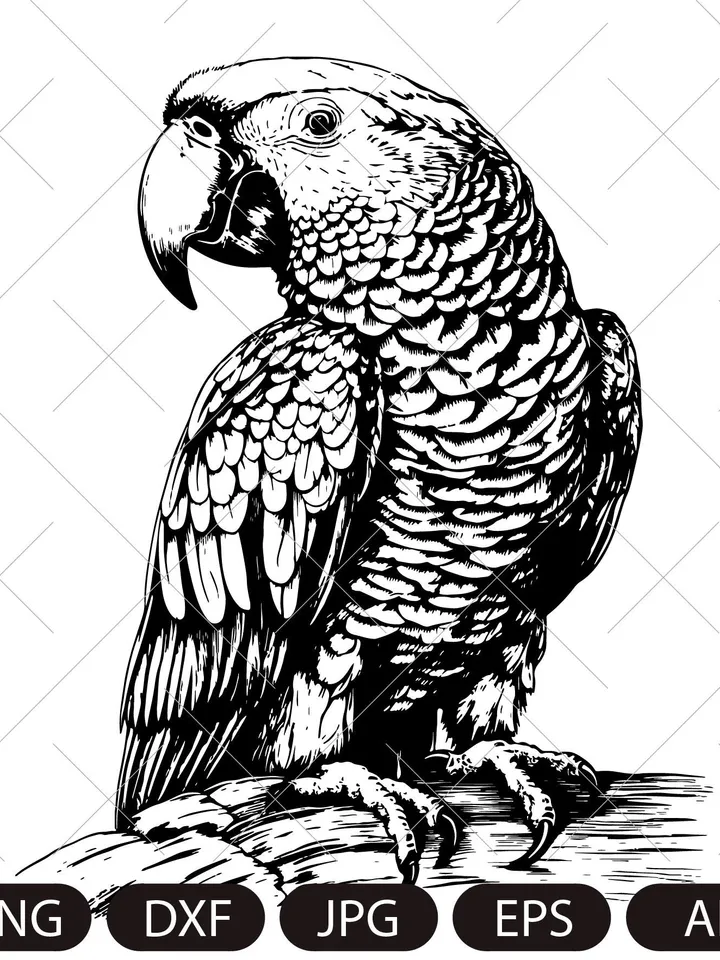 Parrot Svg, Exotic bird svg, Macaw svg, Silhouette dxf, cricut svg, bird Clipart, laser cut file, vector bird on a branch