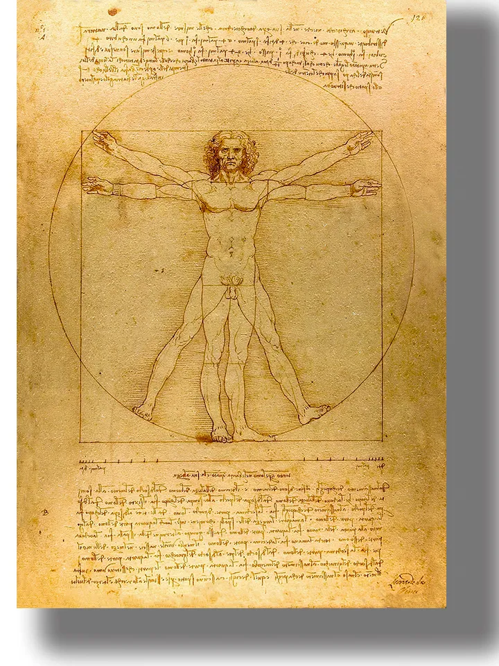 Vitruvian Man. Vitruve Luc Viatour. Leonardo da Vinci.