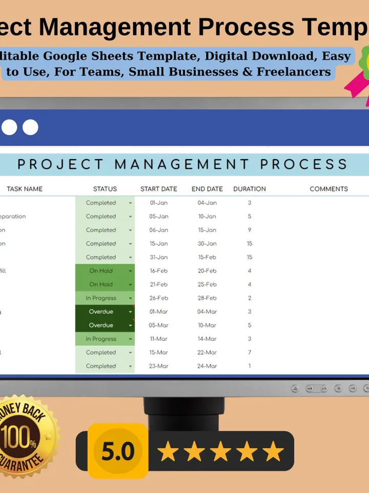 Project Management Process Template, Editable Google Sheets Template, Digital Download, Easy to Use, For Teams, Small Businesses Freelancers