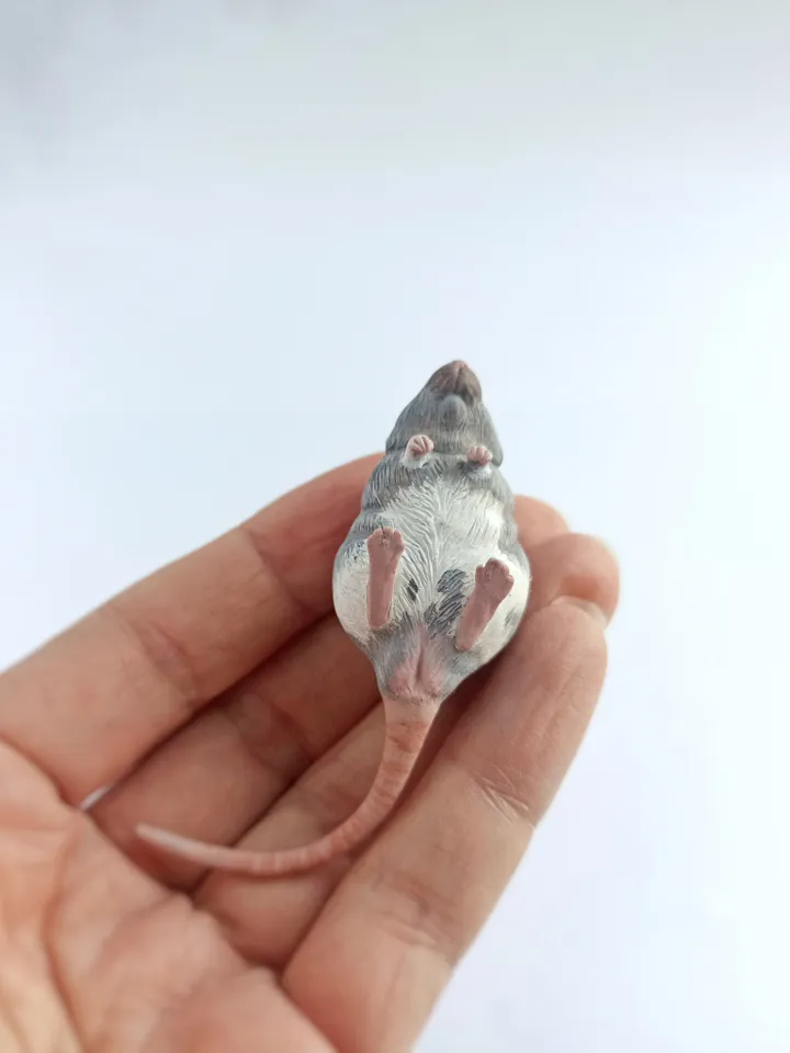 Small rat from photo