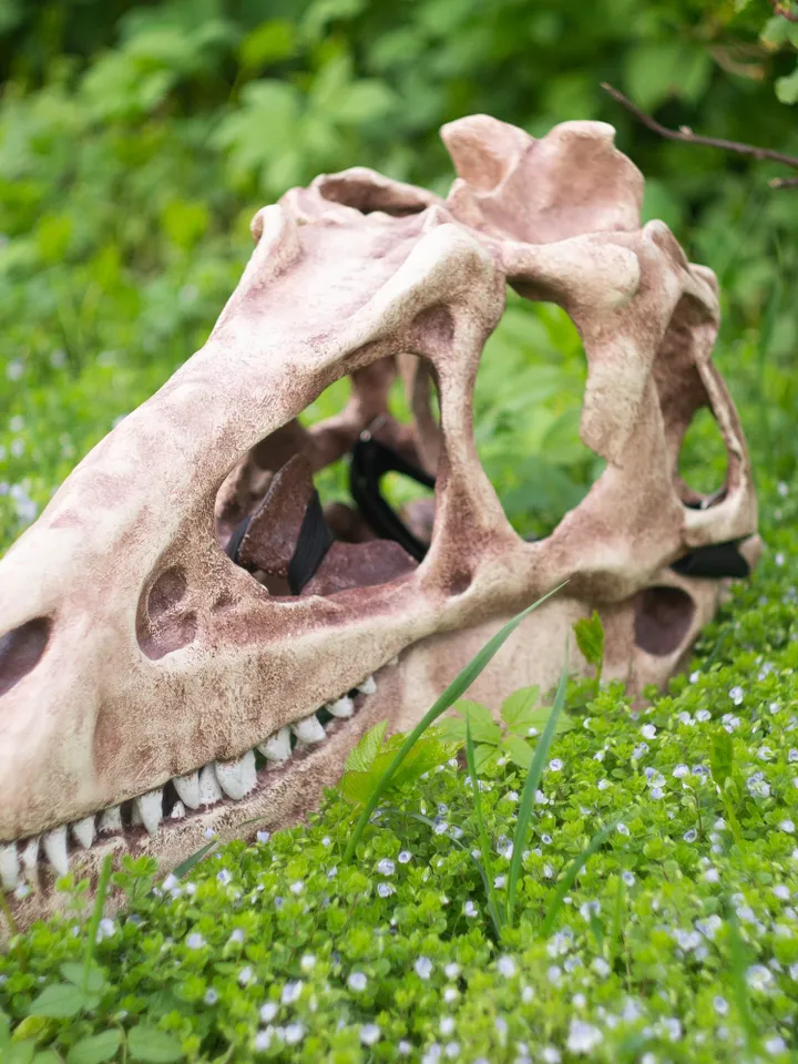 T-Rex Skull Mask, Dinosaur Skull, Tyrannosaurus Fossil Skull, tyrannosaurus rex, dinosaur mask, dino mask, resin mask, Horror Mask