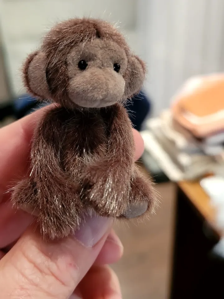 cute little monkey