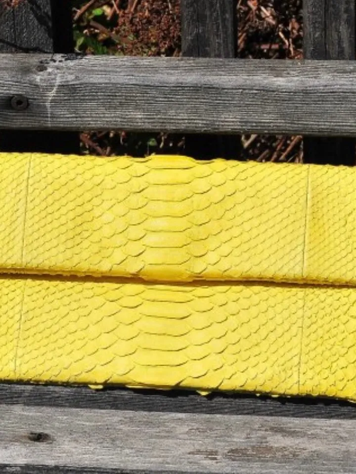 Genuine python skin yellow handmade clutch, classy elegant leather envelope bag, purse free shipping, flat snake leather clutch,small clutch