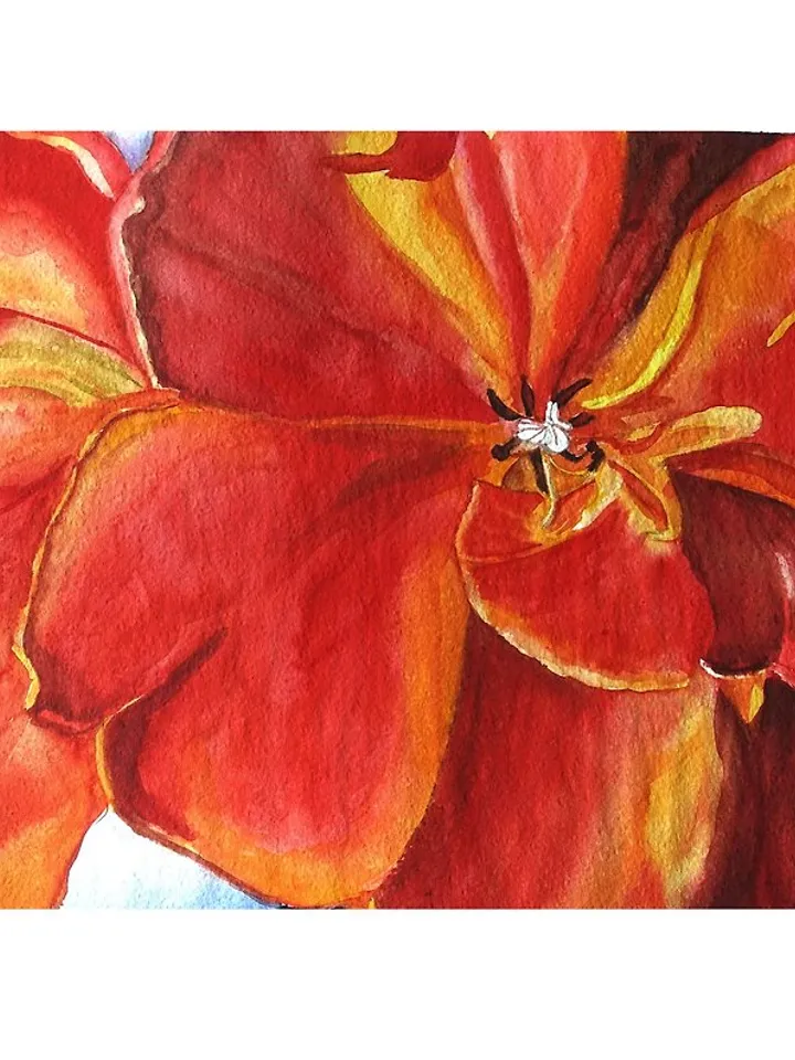 Tulip Painting Watercolor Floral Artwork Texas Original Art Tulip Floral Art