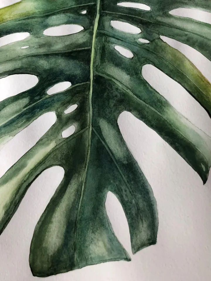 Original Watercolor painting monstera flowers wall art 11.6 x 16.4'' inches