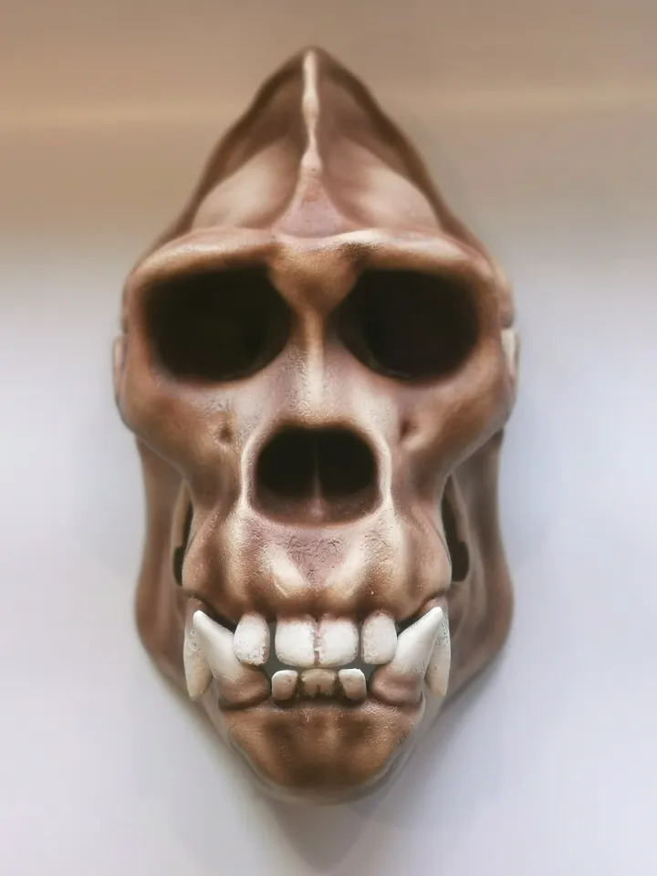 Gorilla Skull, Monkey Skull, Animal Skull Replica, Anthropology Primate Model