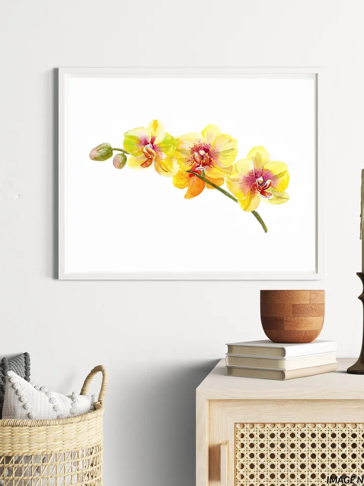 Watercolor Orchid Art Flower Line Art  Wild Flowers Botanical Printable Wall Art Flower Print Minimal Botanical Poster Giclee Botanical Art