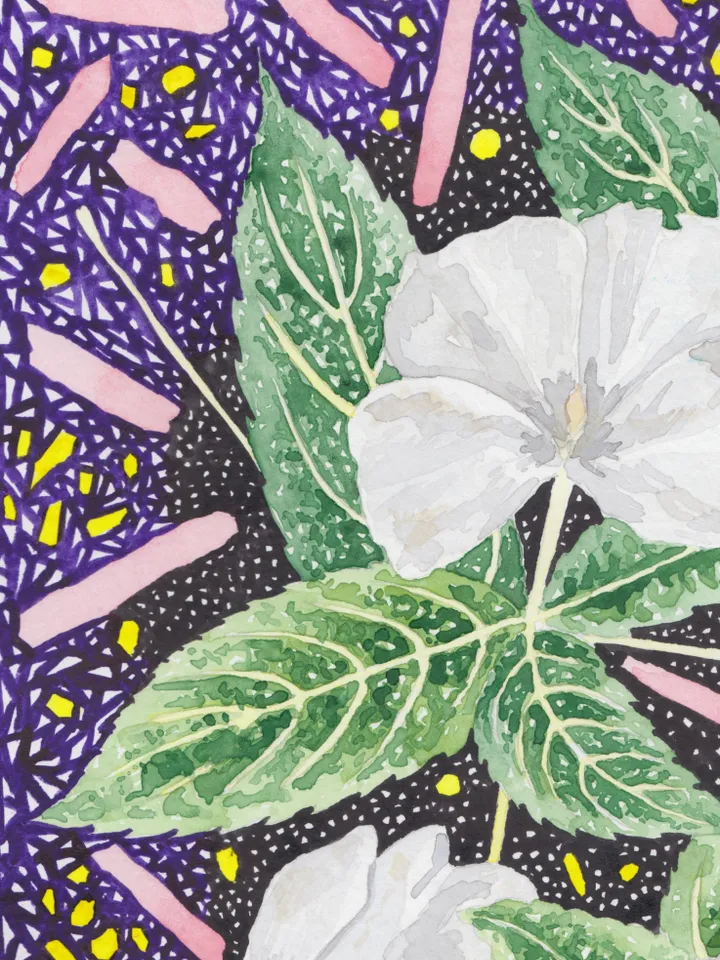 Original work in watercolor. White spring flowers