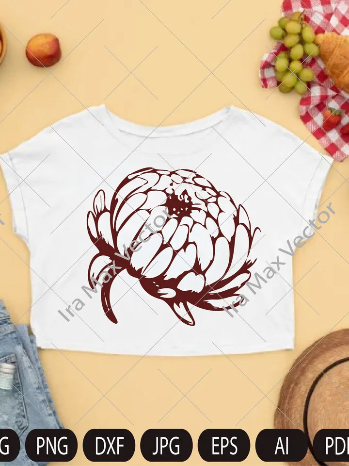 Chrysanthemum Clipart/Line Chrysanthemum Clipart/Autumn Flower/Flower Line Art/Floral Clipart/Hand Drawn Flower Clipart/Line Flower/Garden