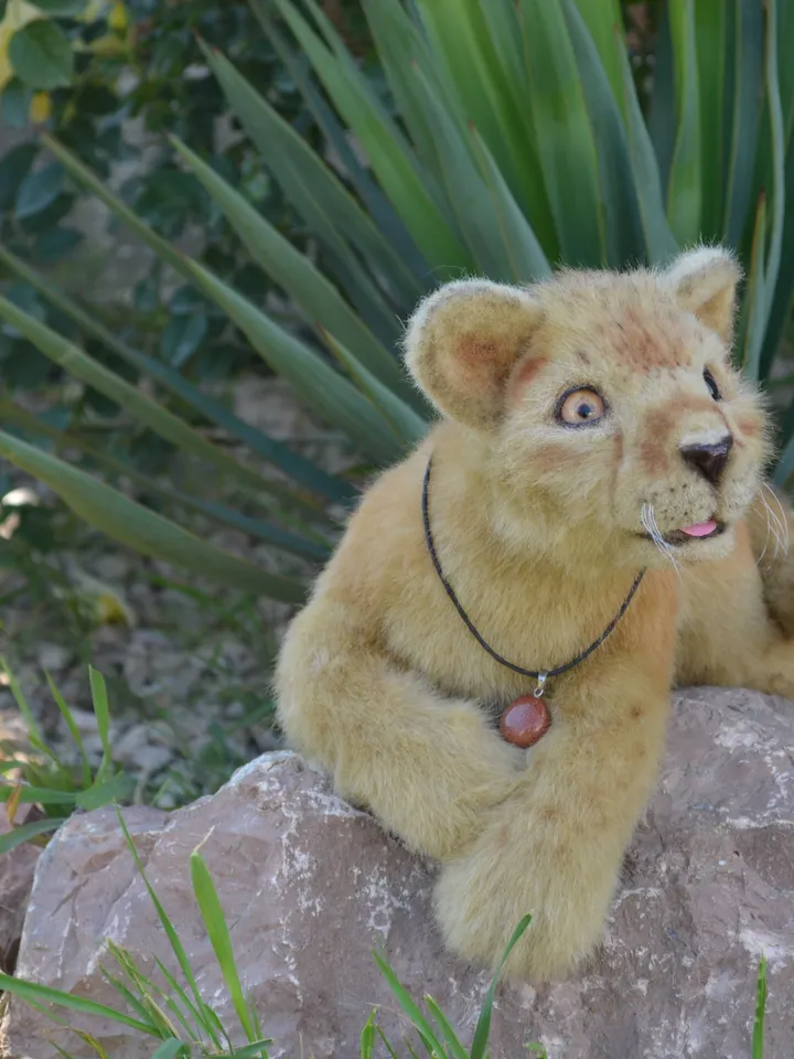 Lion cub