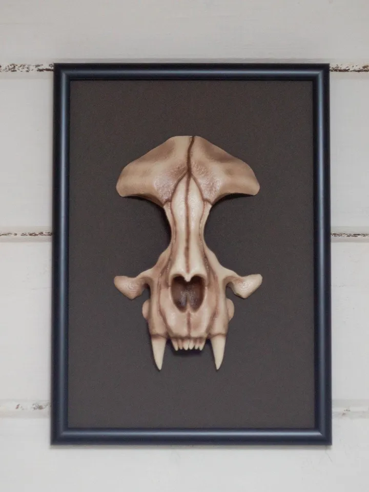 Wall-Mounted Sculpture with cat skull, framed skull, wall sculpture, Frame art, Faux Cat Skull Taxidermy