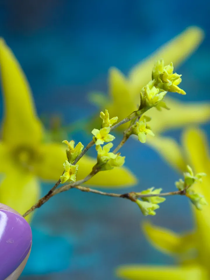 TUTORIAL Miniature forsythia with air dry clay