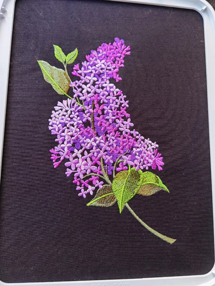 lilac