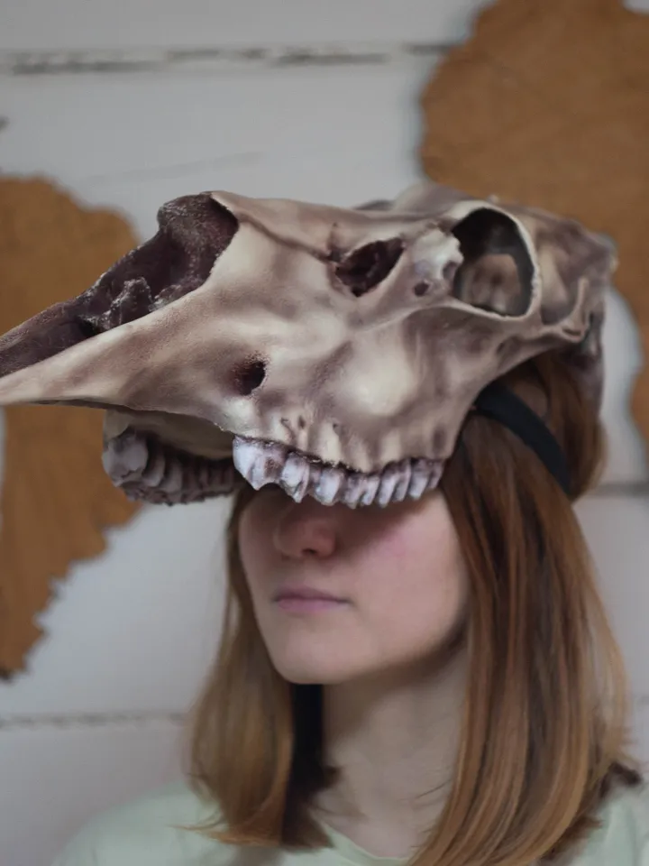 Moose Skull mask | Elk Skull | tribal headpiece | Headpiece skull | ritual mask | pagan headdress | Realistic Skull Mask |real animal skull