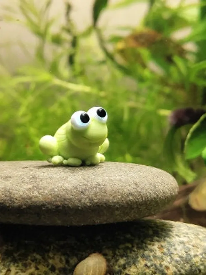 AQUARIUM DECORATION Frog figurine Small Aquarium decor Aquarium figurine Aquarium gifts Aquarium ornament Tiny frog Glass frog miniature